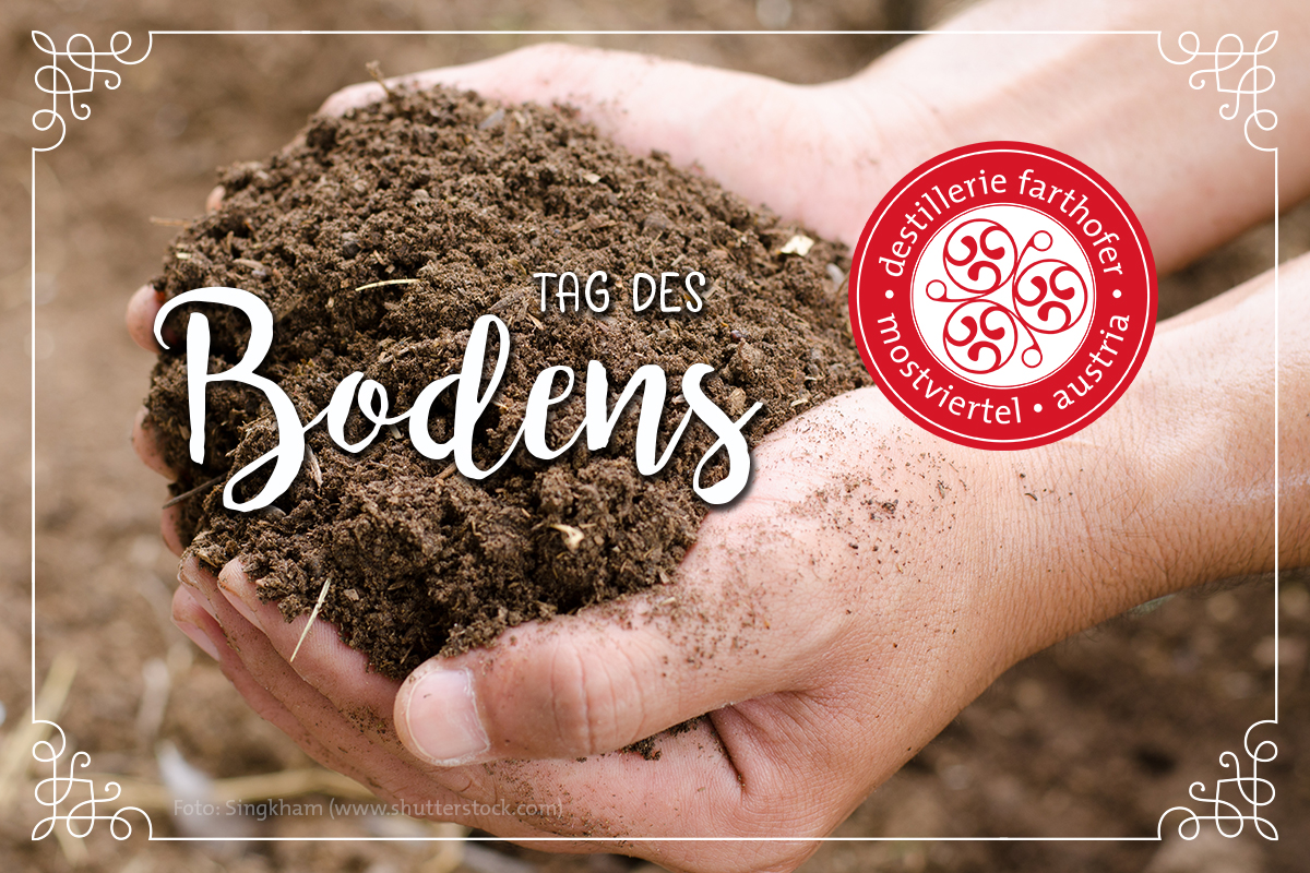 Blog Tag des Bodens - Destillerie Farthofer