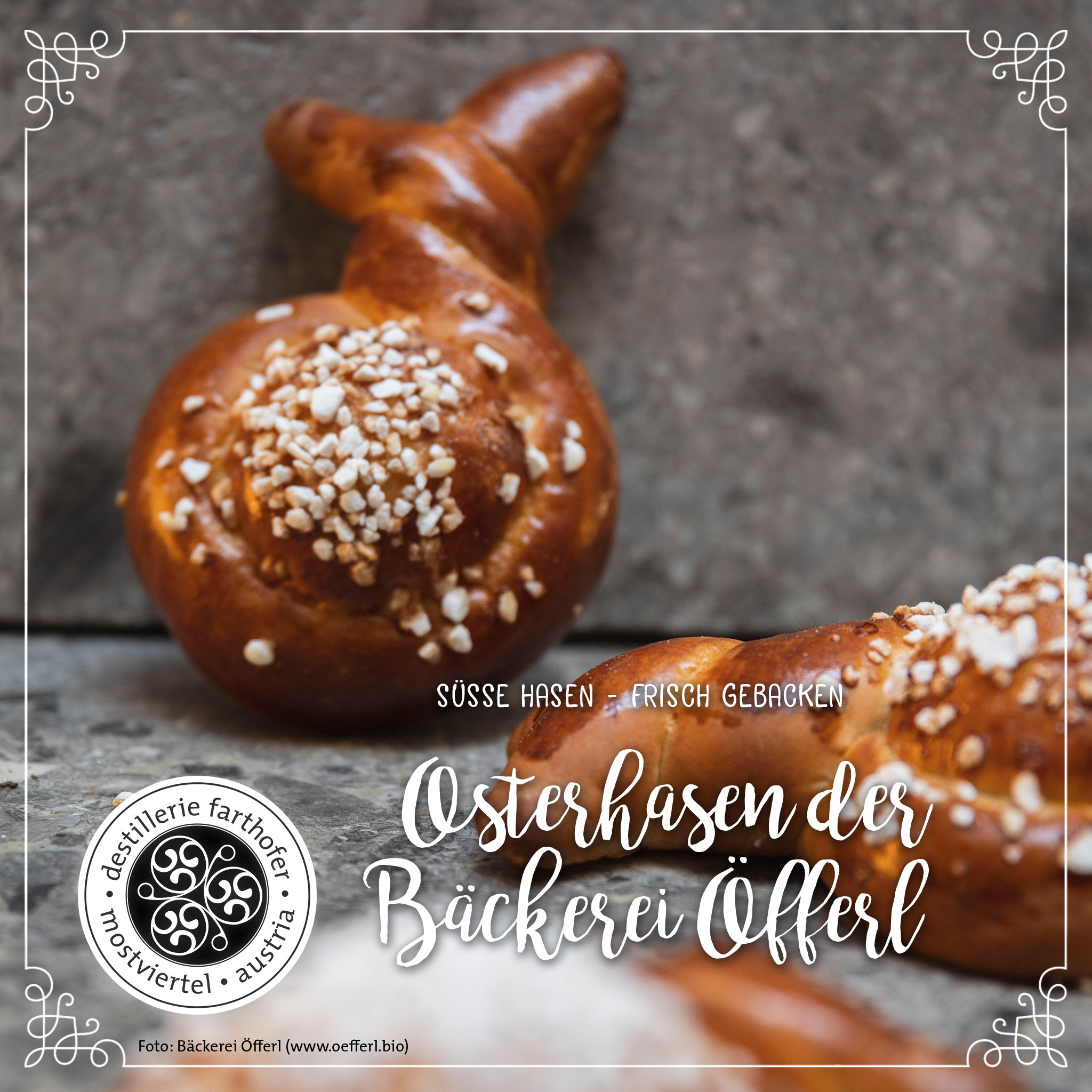 Blog Tag des Bodens - Destillerie Farthofer