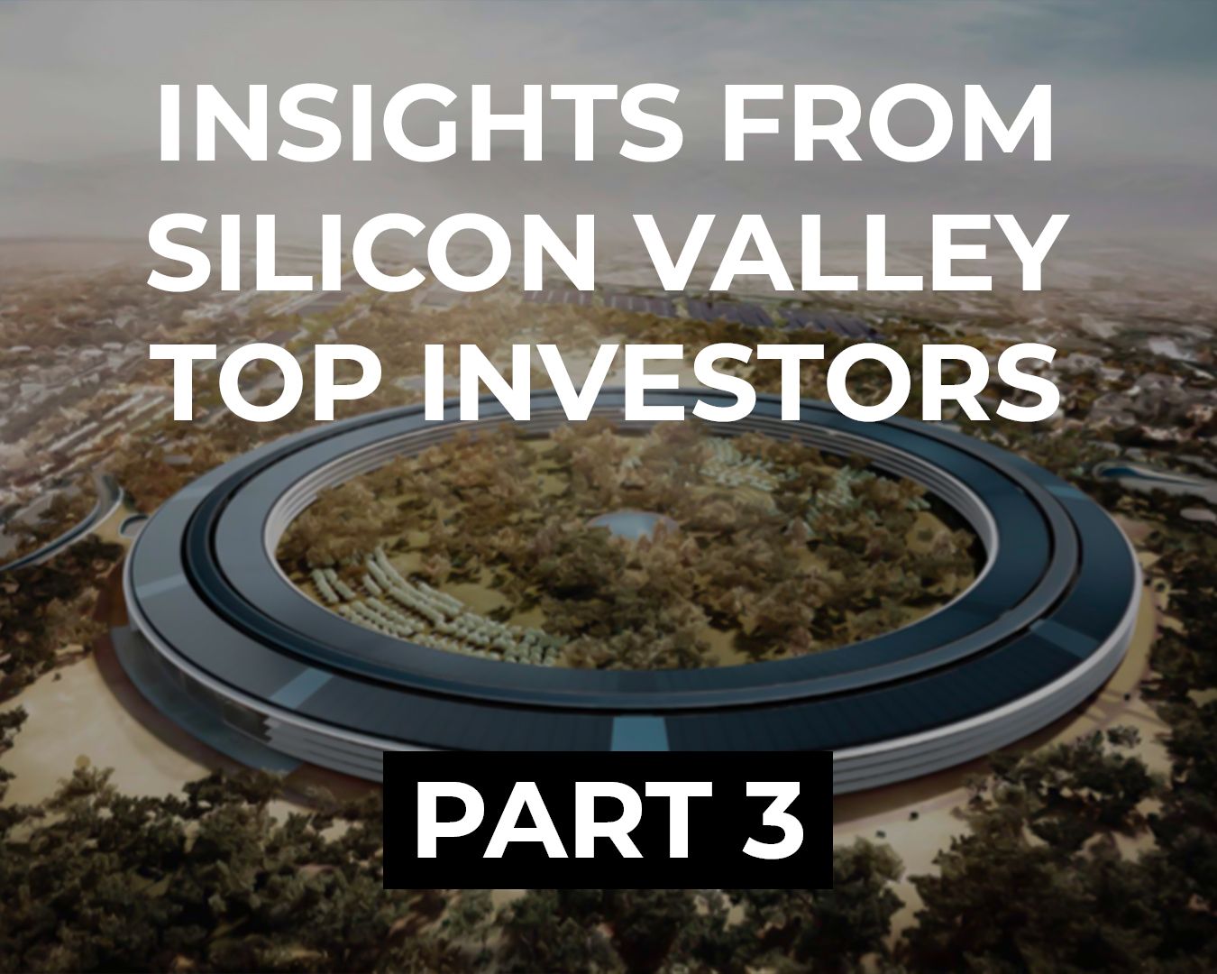 Insight From Silicon Valley 3