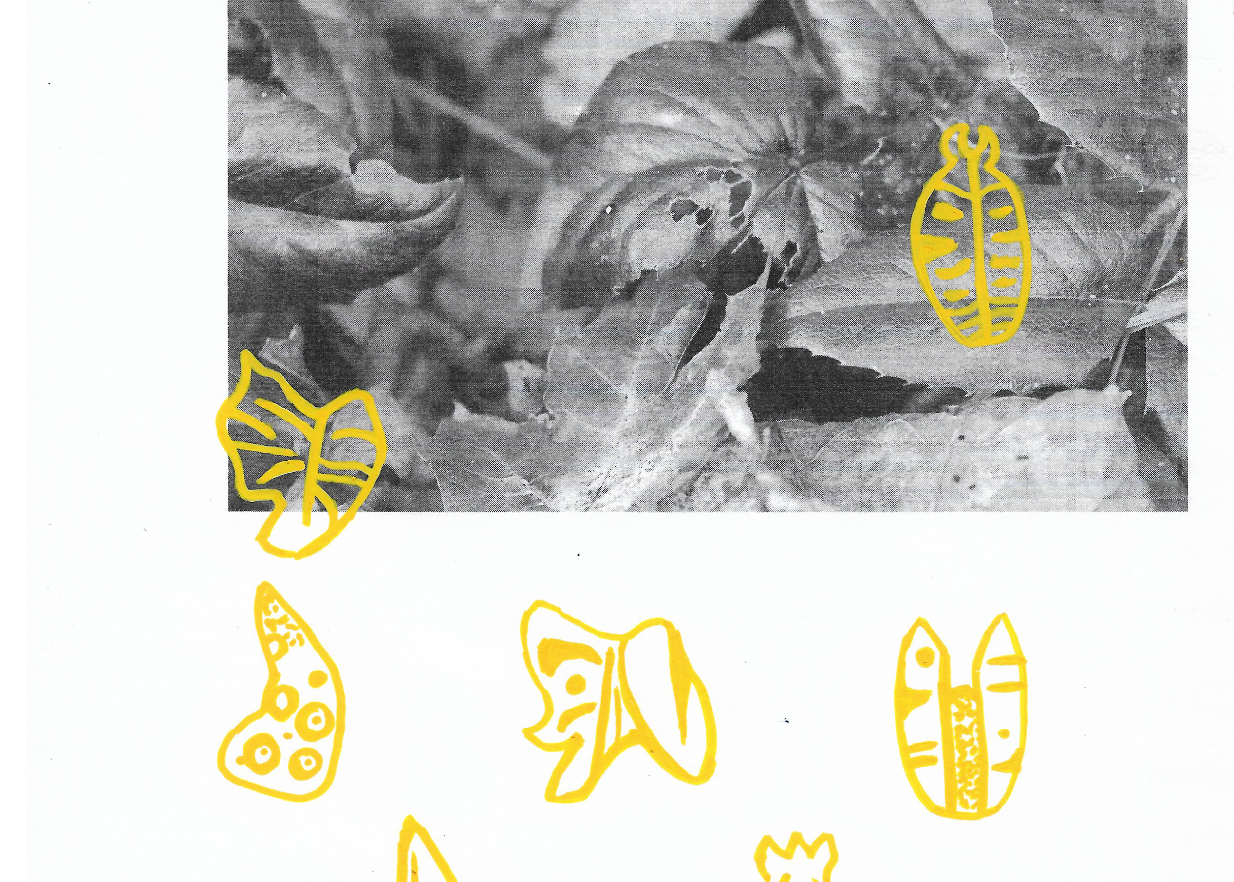 Patterns for a Cabin