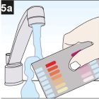 5a