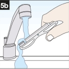 5b
