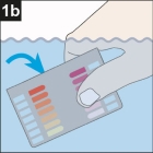 1b