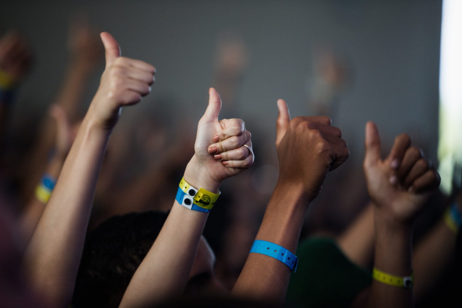 Raised hands wearing coloured paper festival wristbands in a crowd Raised hands wearing coloured paper festival wristbands in a crowd