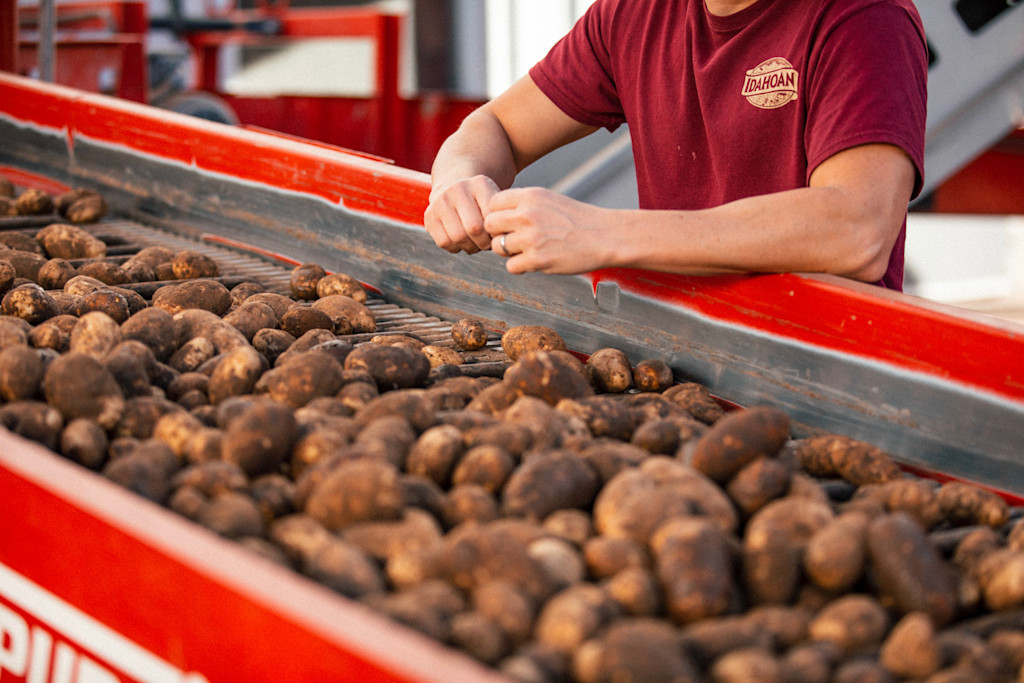 Expanding Our Offerings