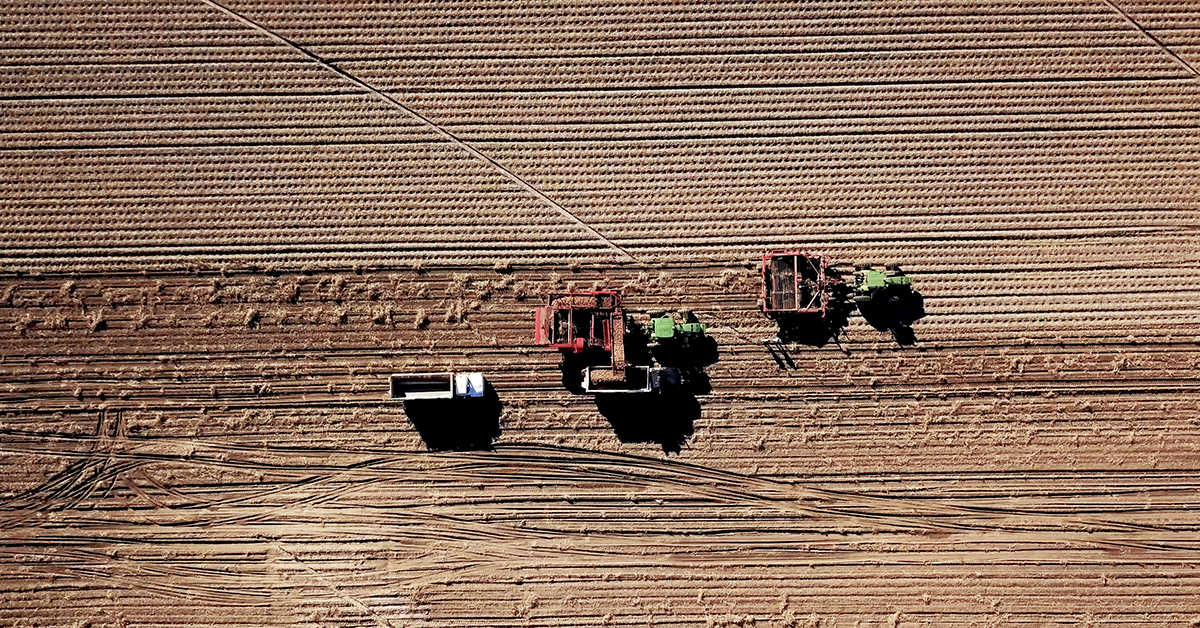 We start with real potatoes from local Idaho growers.