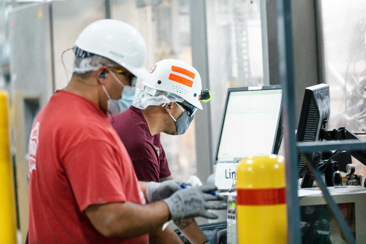 Team Members working