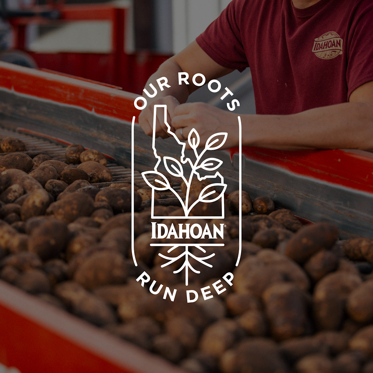 Idahoan Products