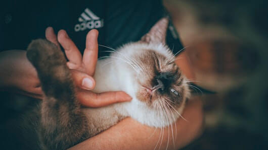 right-spot