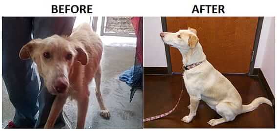 Faith Before After