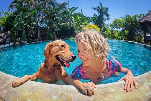 Keep Your Dog Cool During Summer Heat