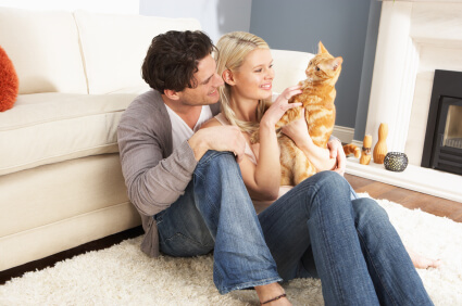 How to Minimize Stress When Moving with Your Dog