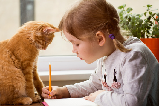 kitten watching young girl do homework