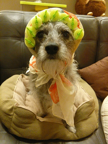 Granny Zelda