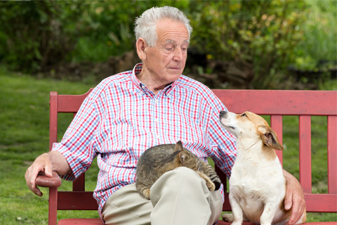 Less Adoptable, More Loveable: Adopting Older and Special Needs Dogs and Cats