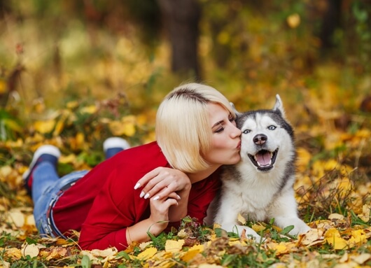 Five Ways to Thank Your Dogs and Cats