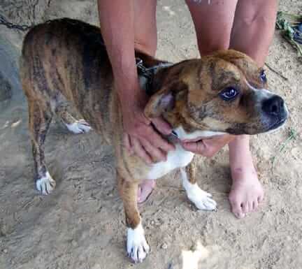 Dr. Jane Foundation Aids Monroe County Rescuers