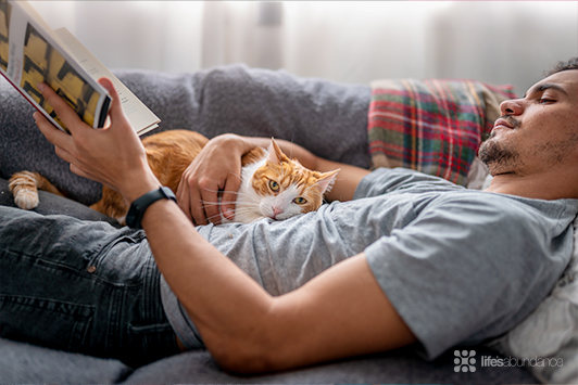 The Healing Powers of Your Cat