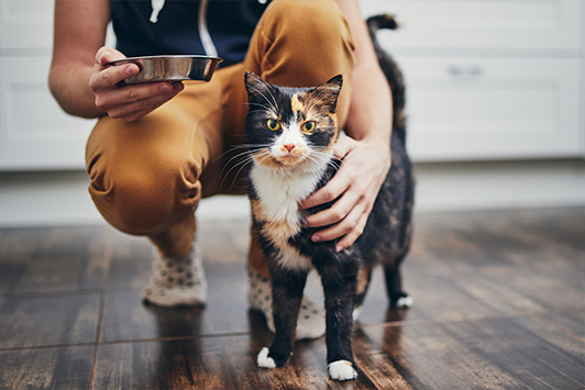 woman kissing cat