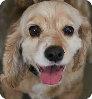 Zoey
