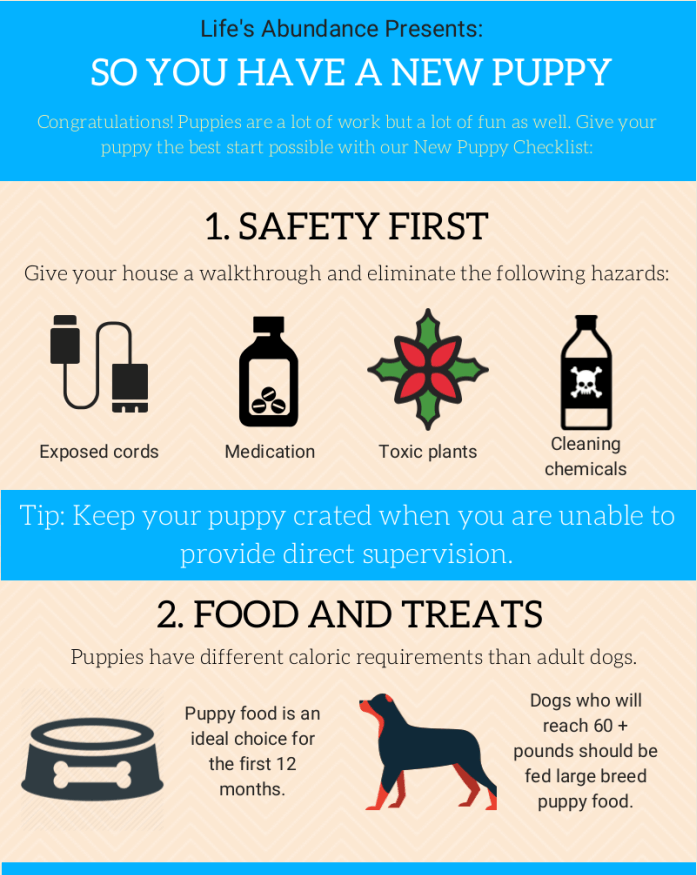 New-Puppy-1