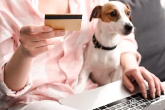 Money-Saving Tips for Cat Owners at Life's Abundance