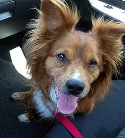 Whiskey in the car