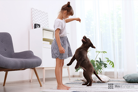 The Ruff Guide to Welcoming a New Puppy Home