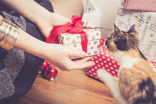kitty-helps-wrap-gifts