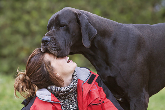 woman with great dane