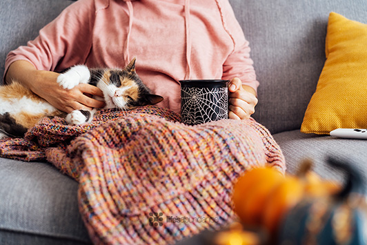 woman sitting enjoying fall with cat on lap