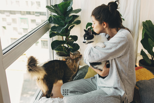 woman playing with two cats