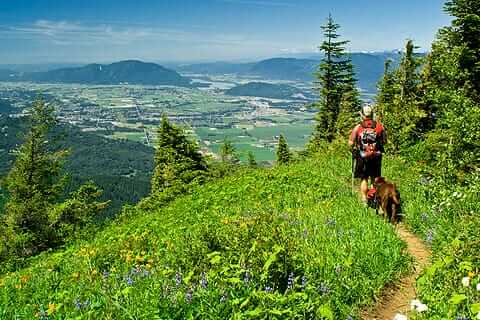 Trail