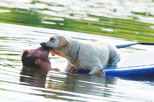 Dog Licks Man In Lake