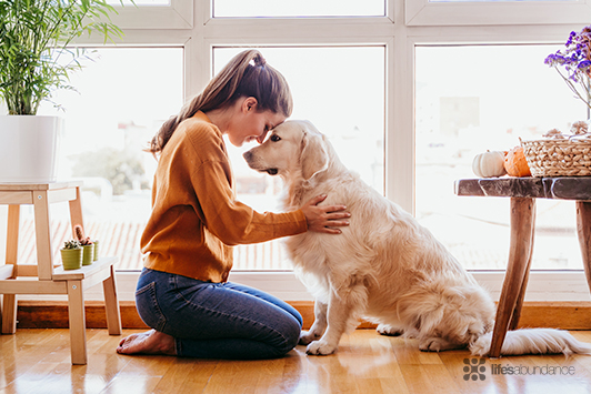 FDA Report: DCM in Dogs Not Linked to Grain-Free Food