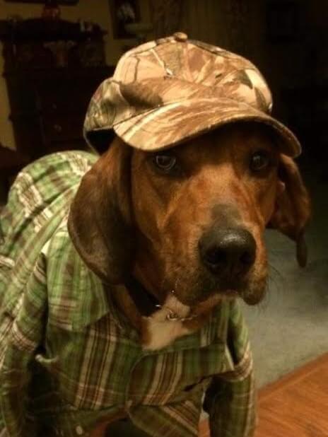 Wilford Sherlock