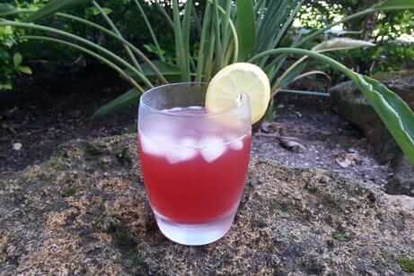 Superfruit Mocktail