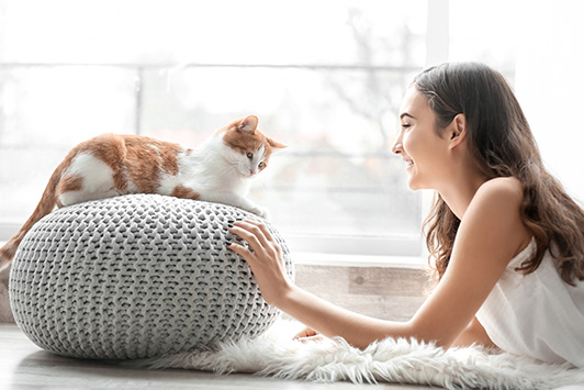 Woman Plays With Healthy Cat At Home