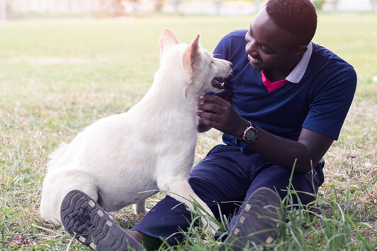 Man Playing With Dog In Park