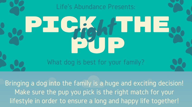 Choosing the Right Dog Breed for Families