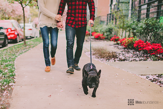 Holiday Fitness Tips: Stay Active Without the Guilt