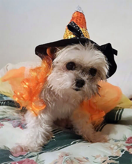 Kinzie the candy corn Witch