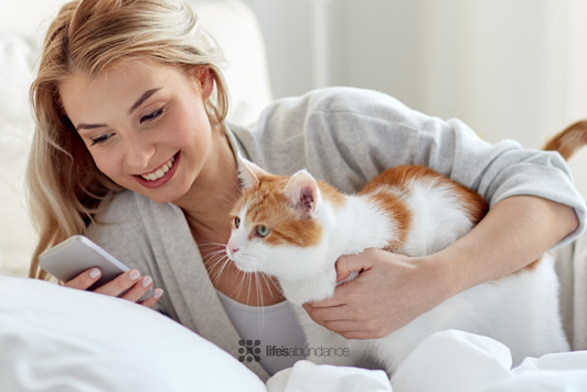 5 Best Apps for Dog and Cat Owners: Training, Travel, and Vet Tracking