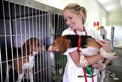 Lauren With Beagle
