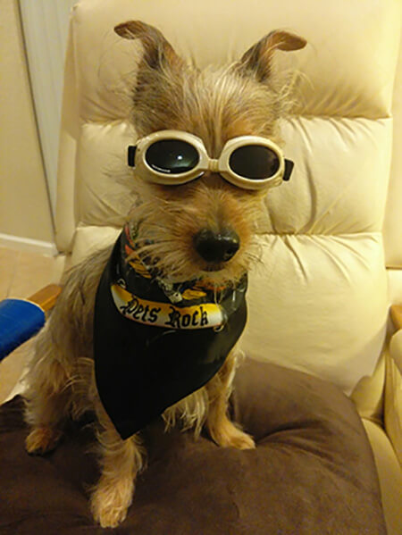 Ollie Biker