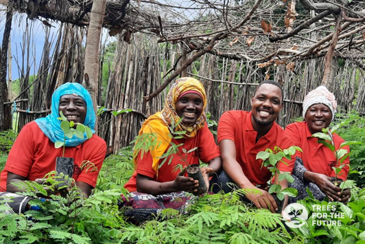 Reforestation Benefits: Environmental Impact and Future Solutions