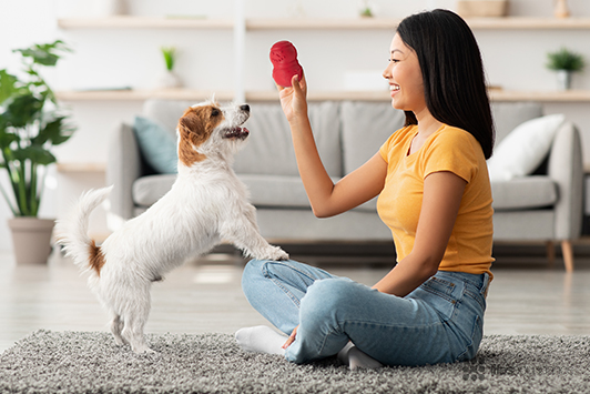 Benefits of Treat-Dispensing Toys for Dogs