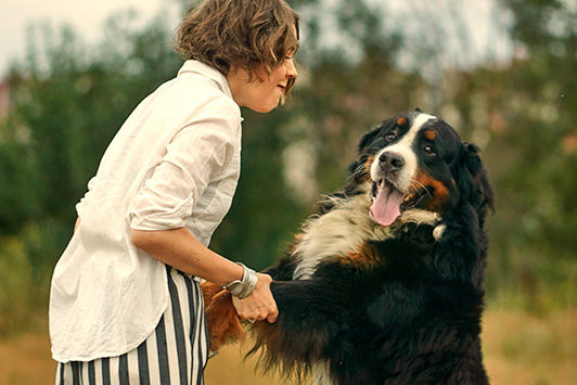 Taurine in Dog Food: Why It's So Important for Your Dog