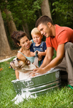 Dog Grooming Tips from Dr. Jane: Skin and Coat Care