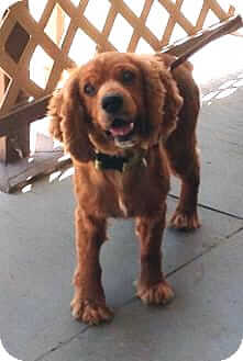 Harry